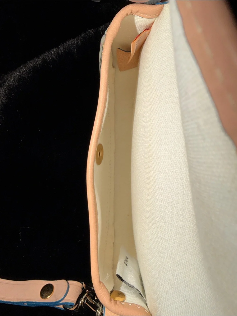 Dooney & Bourke disney parks